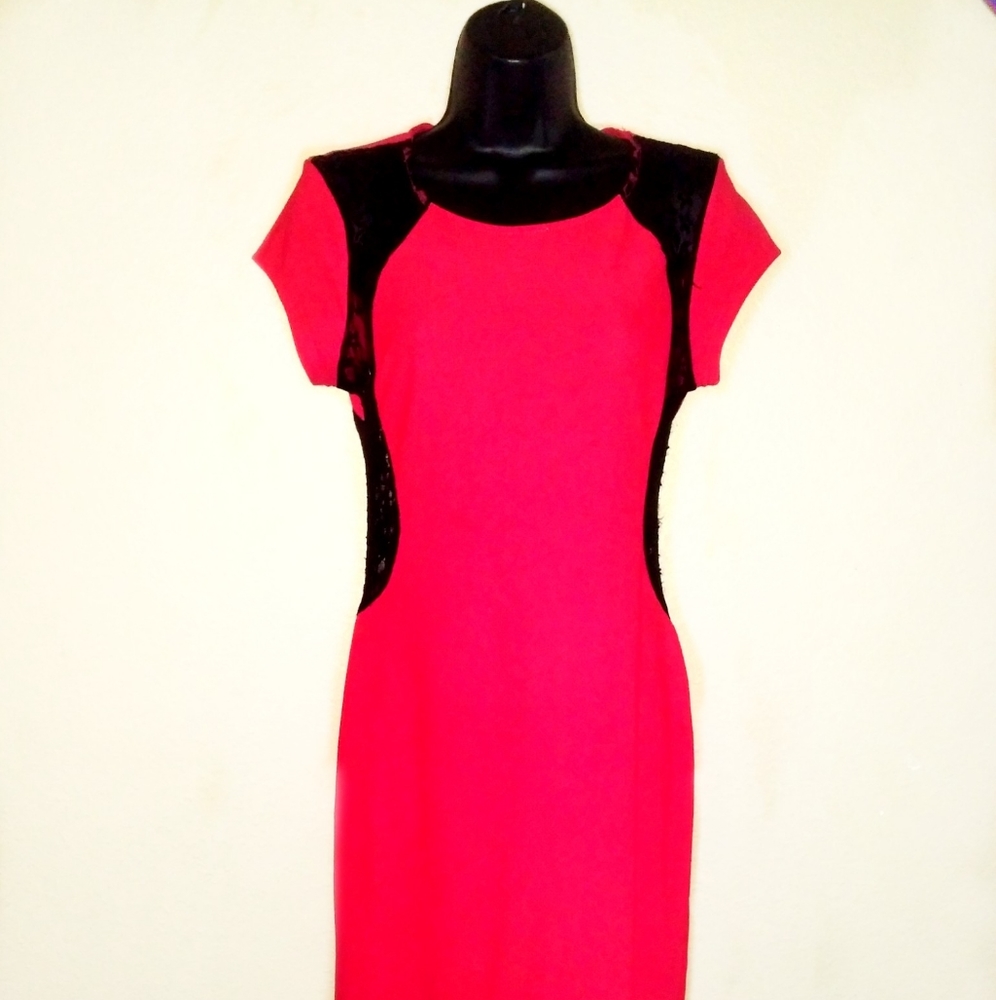 Bodycon Dress With Mesh